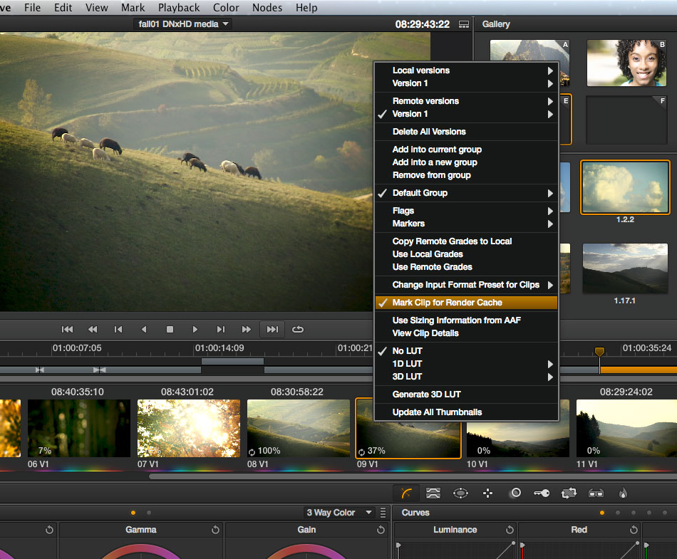 B_1112_Resolve9_31_Color_rendercache_menu